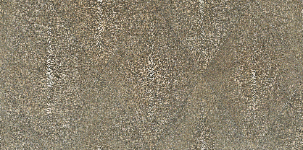 Shark Skin