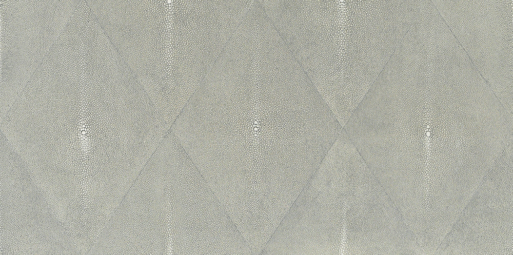 Shark Skin