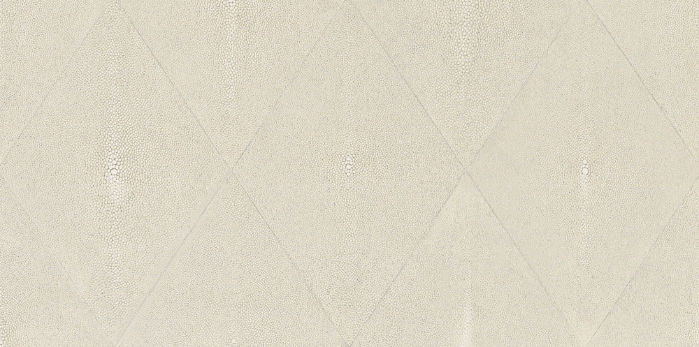 Shark Skin