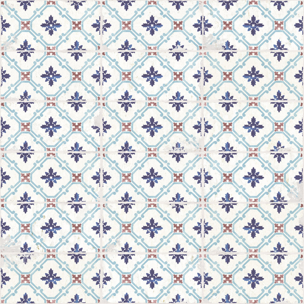 Belem Bluet
